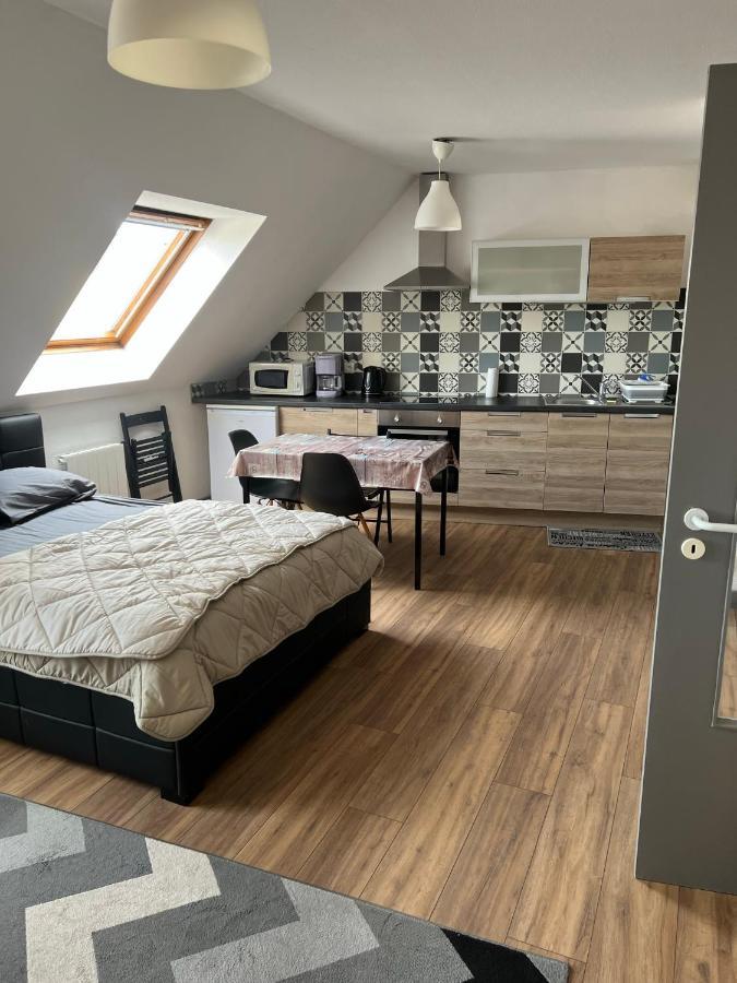 Super Appartement Colmar Centre מראה חיצוני תמונה