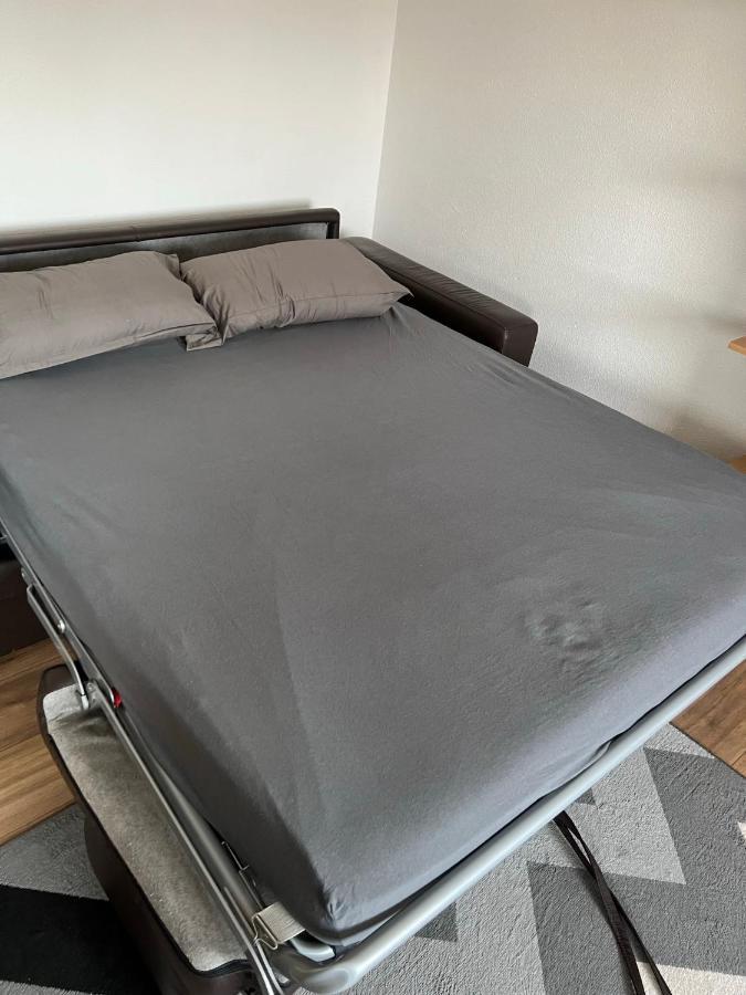 Super Appartement Colmar Centre מראה חיצוני תמונה