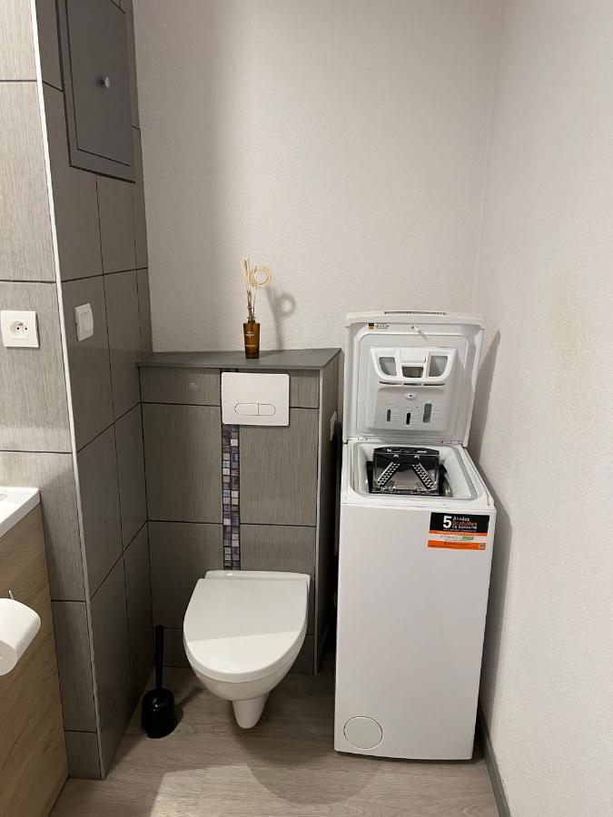 Super Appartement Colmar Centre מראה חיצוני תמונה
